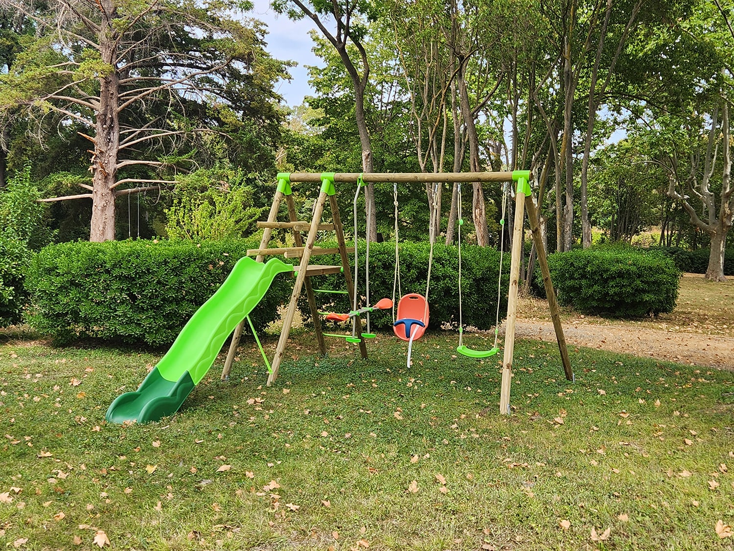 Swings Swings