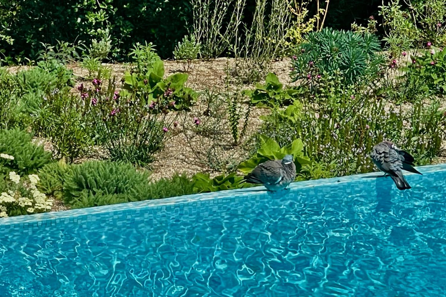 Private pool