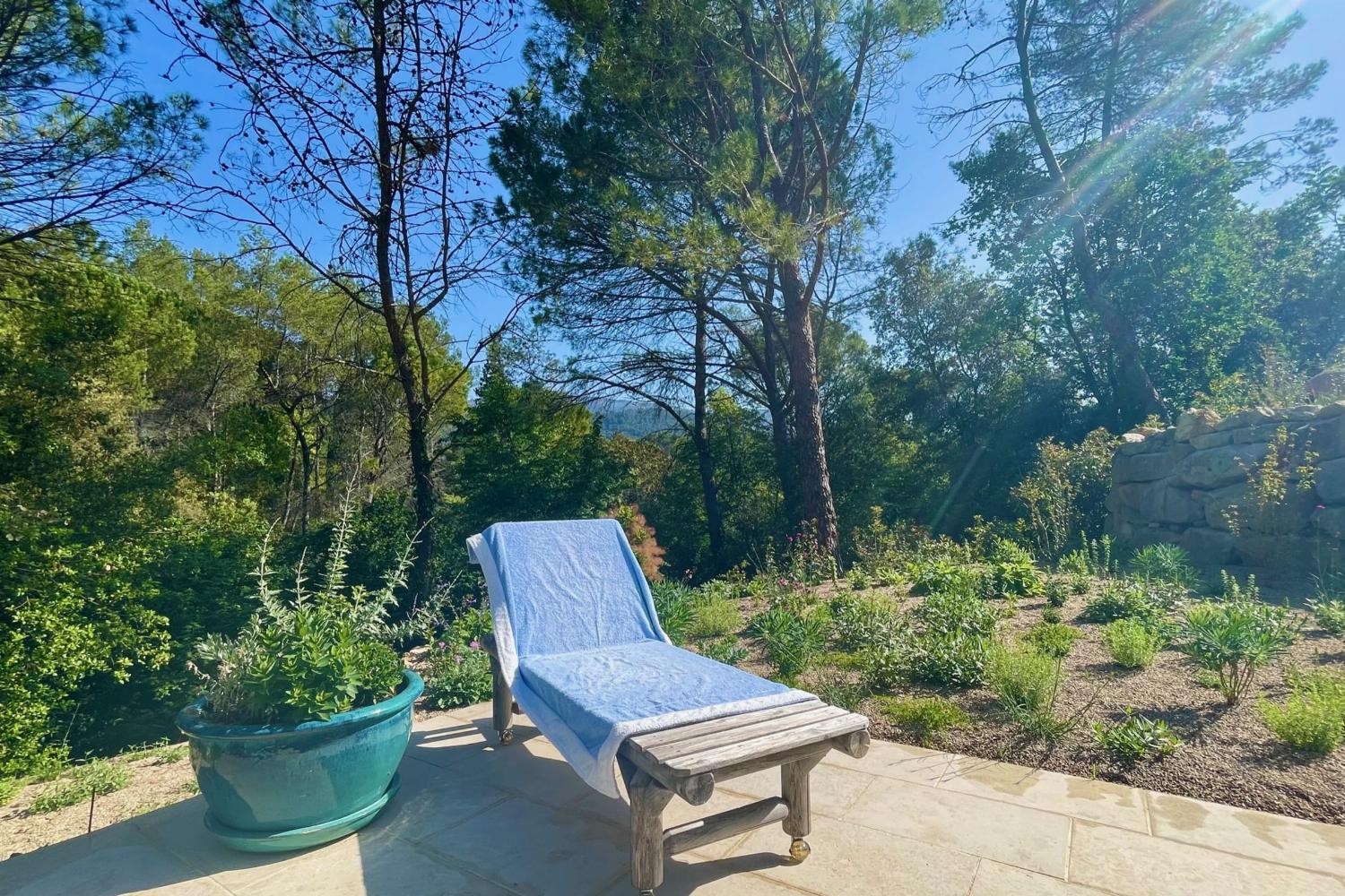 Terrace and garden