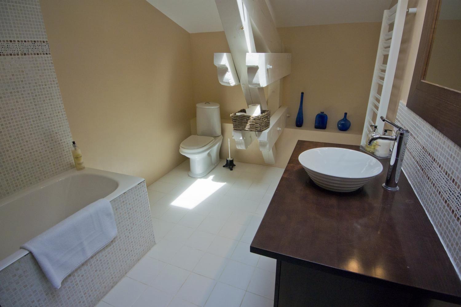 Bathroom | Holiday home in the Tarn