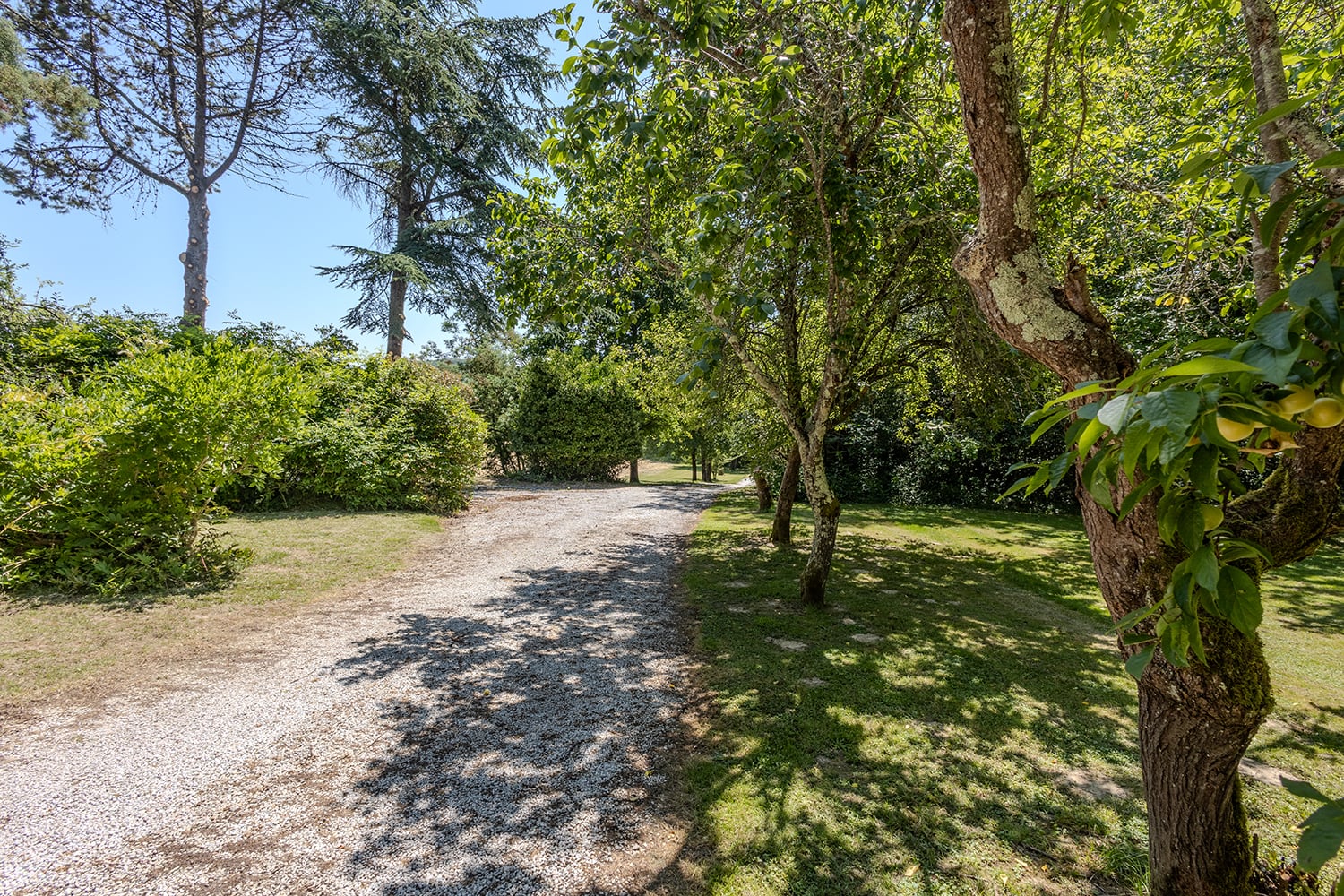 Driveway