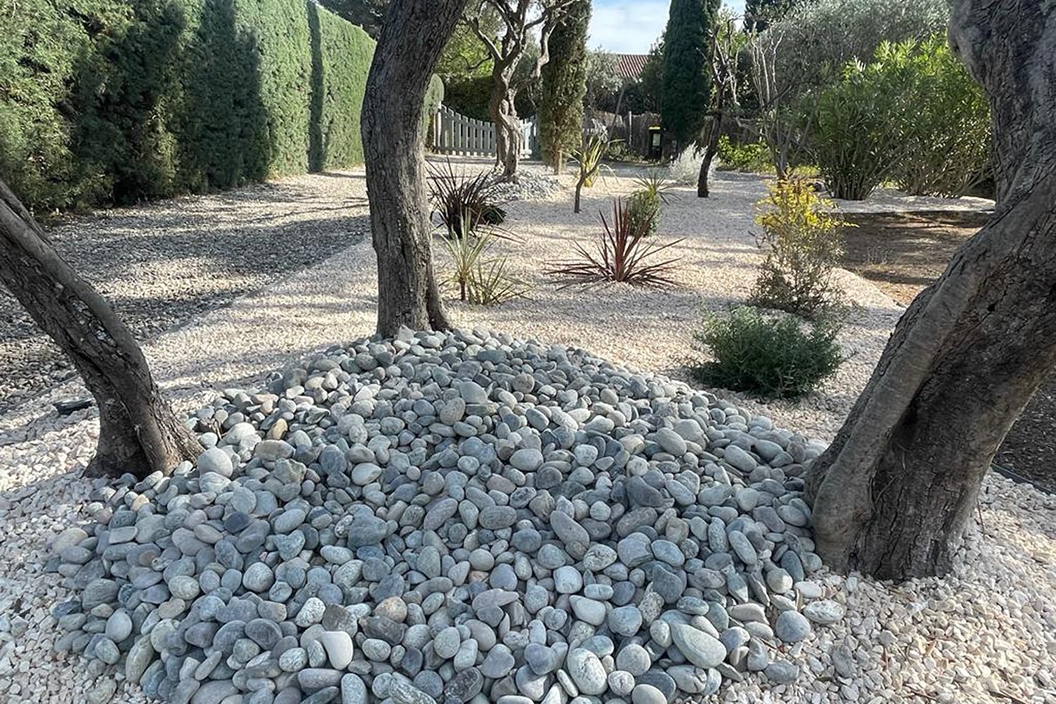 Garden in France