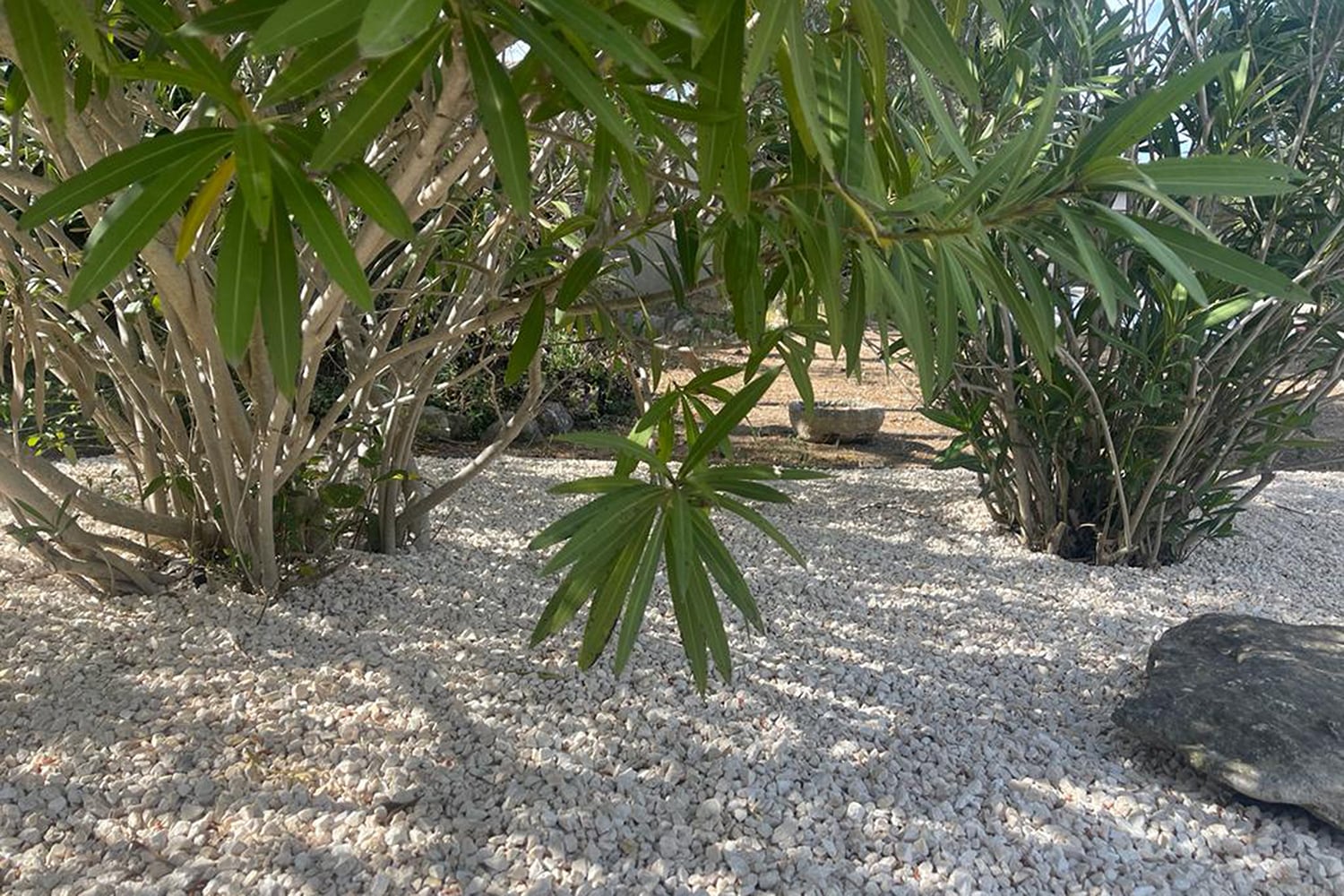 Garden in France