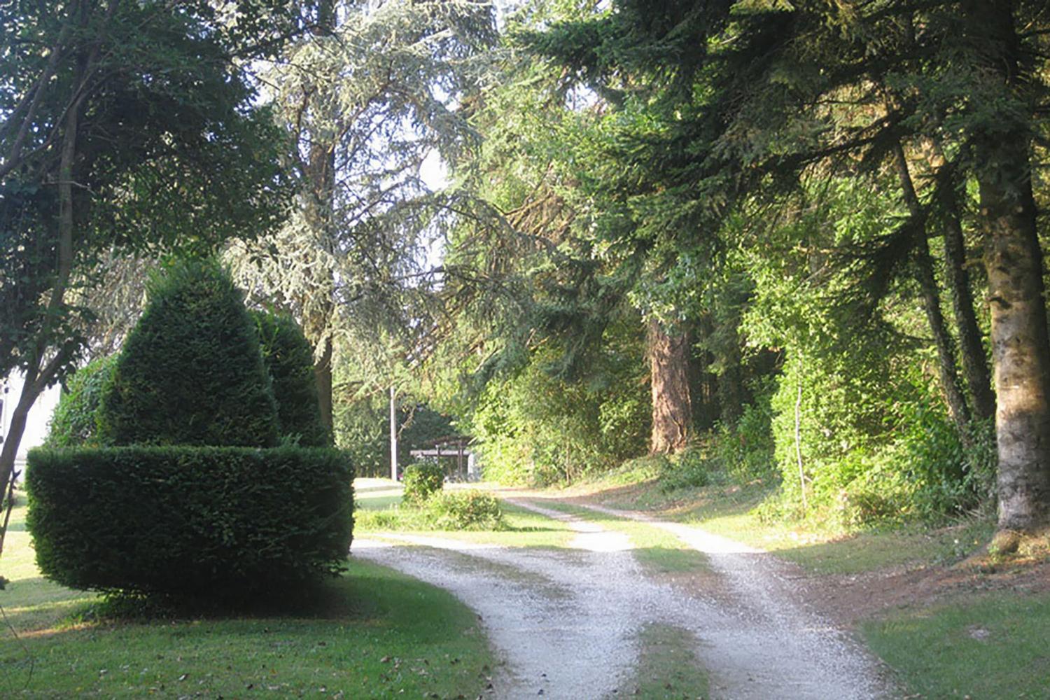 Driveway