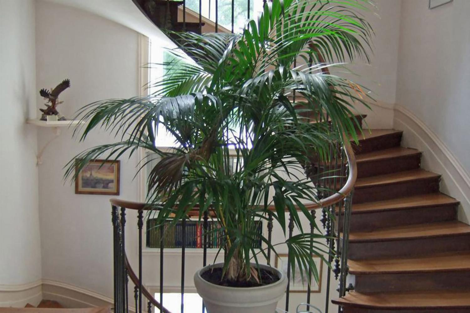 Staircase | Holiday château in Charente