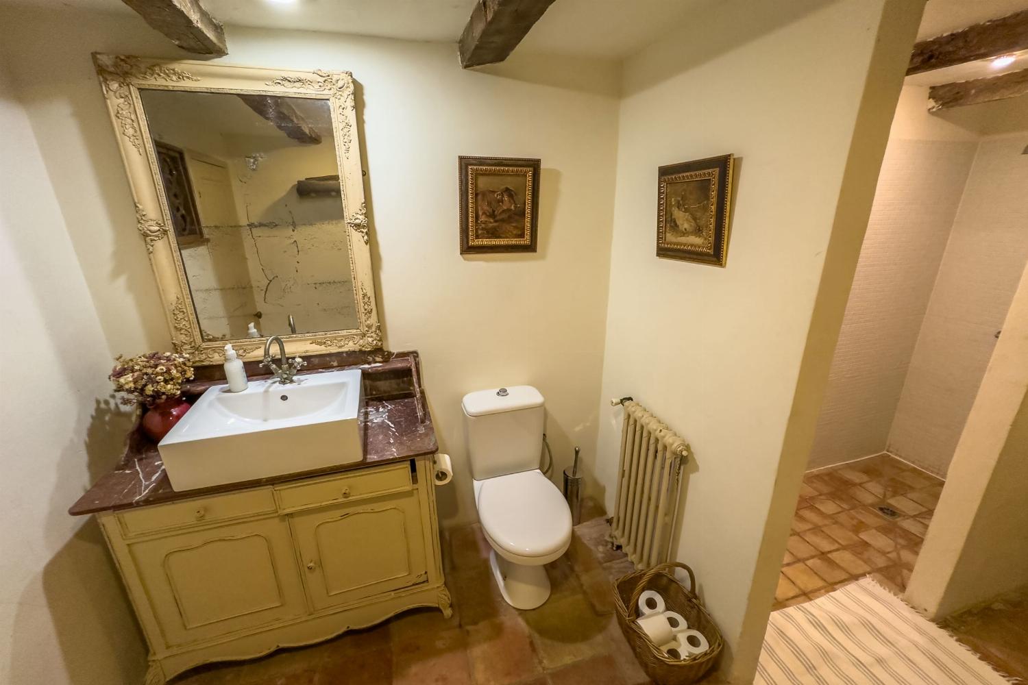 Main house bathroom | Holiday accommodation in Tarn-en-Garonne