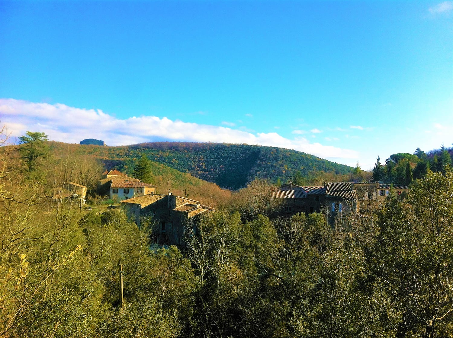 View
