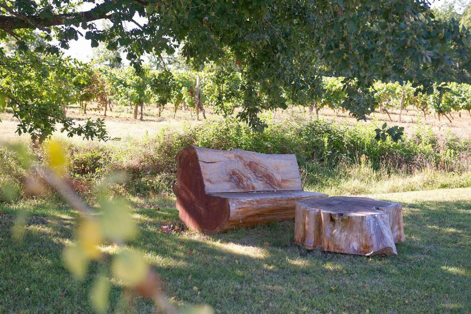 Garden in France
