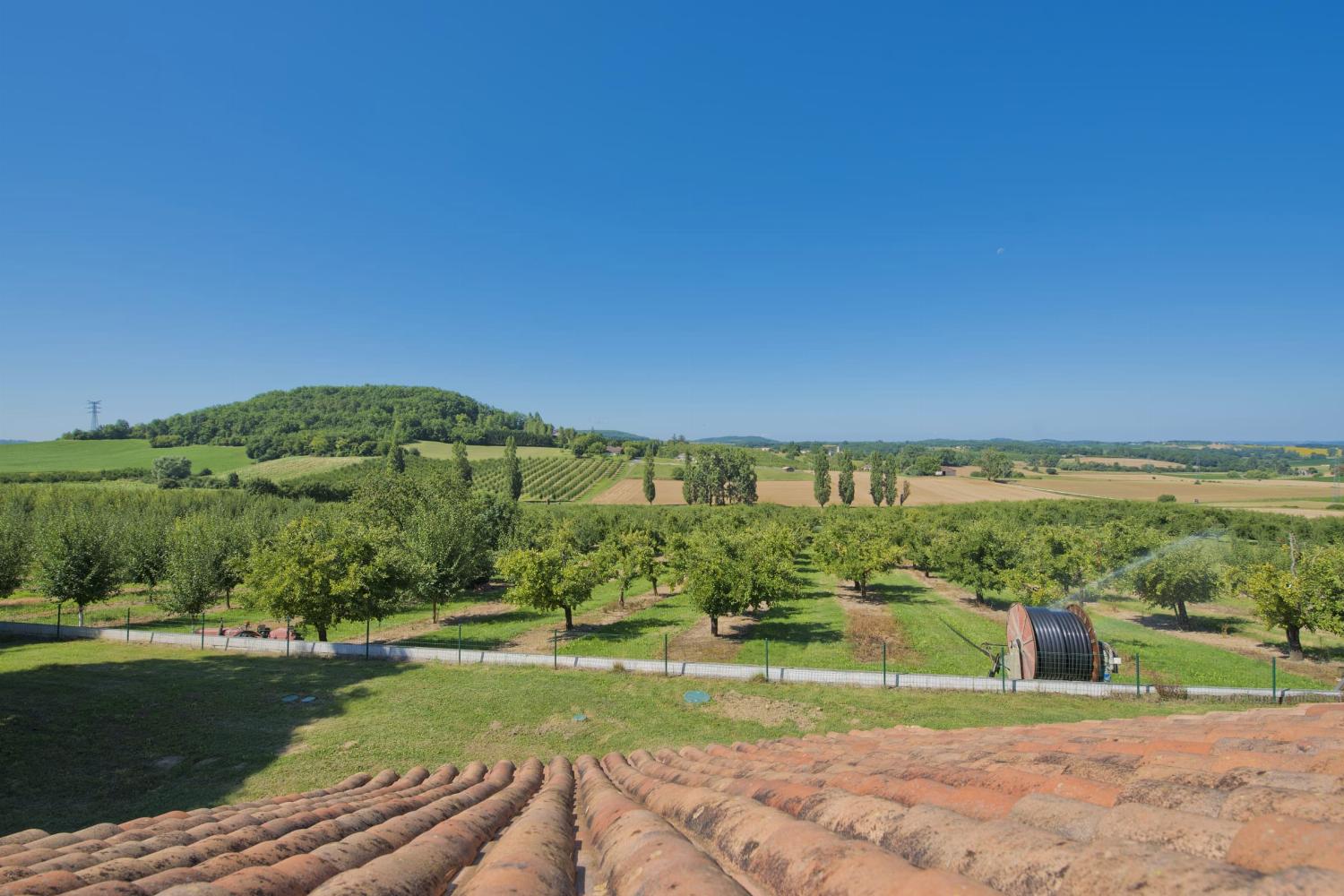 View from window