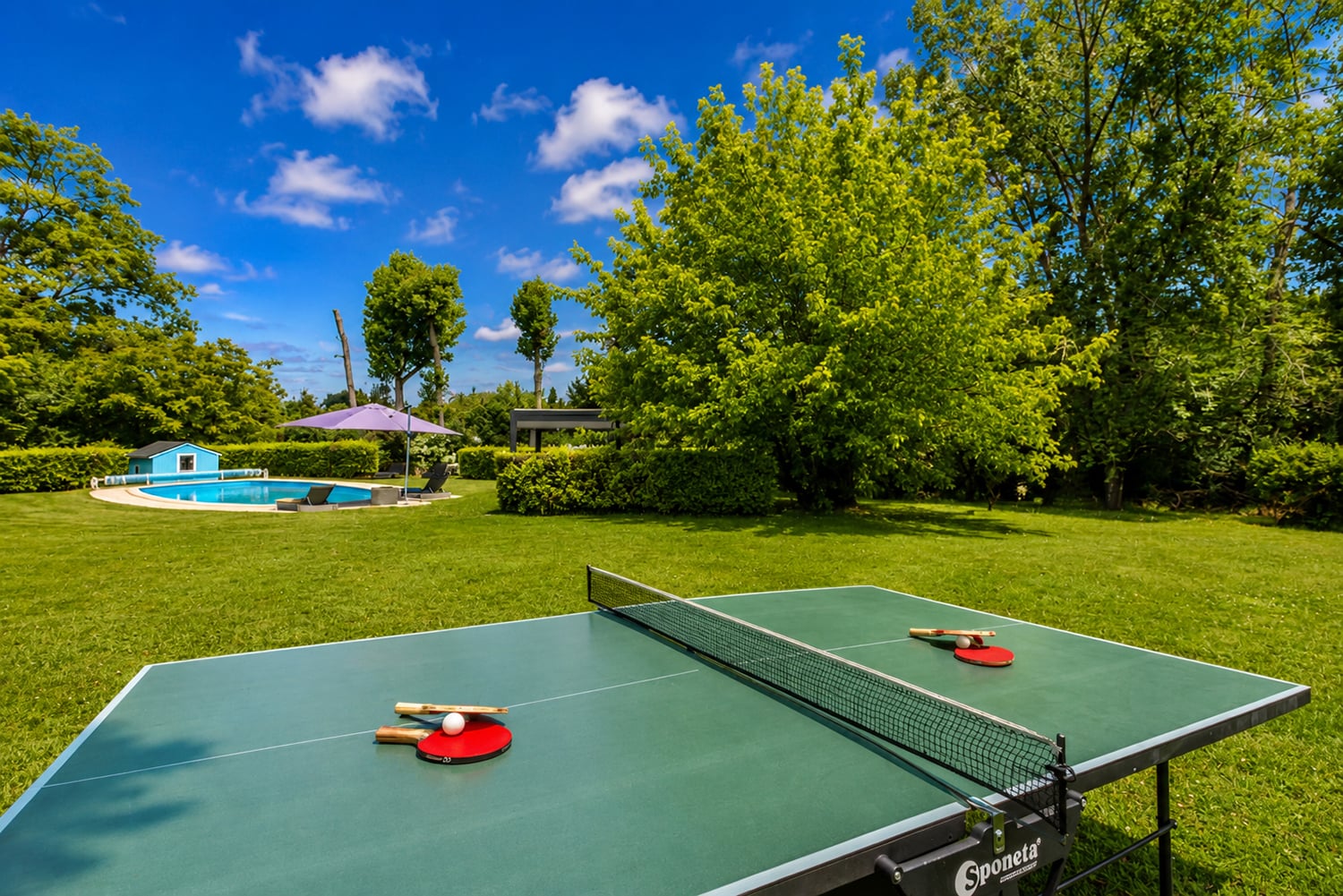 Table tennis Table tennis