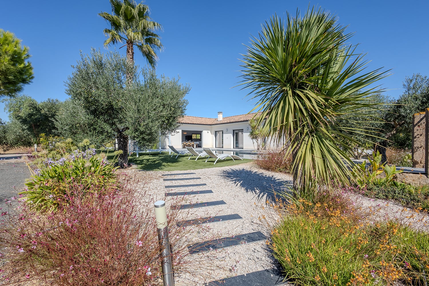 Mediterranean garden Mediterranean garden