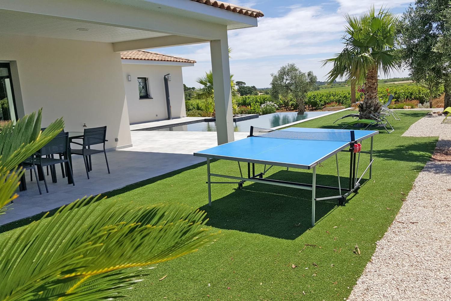 Table tennis in garden