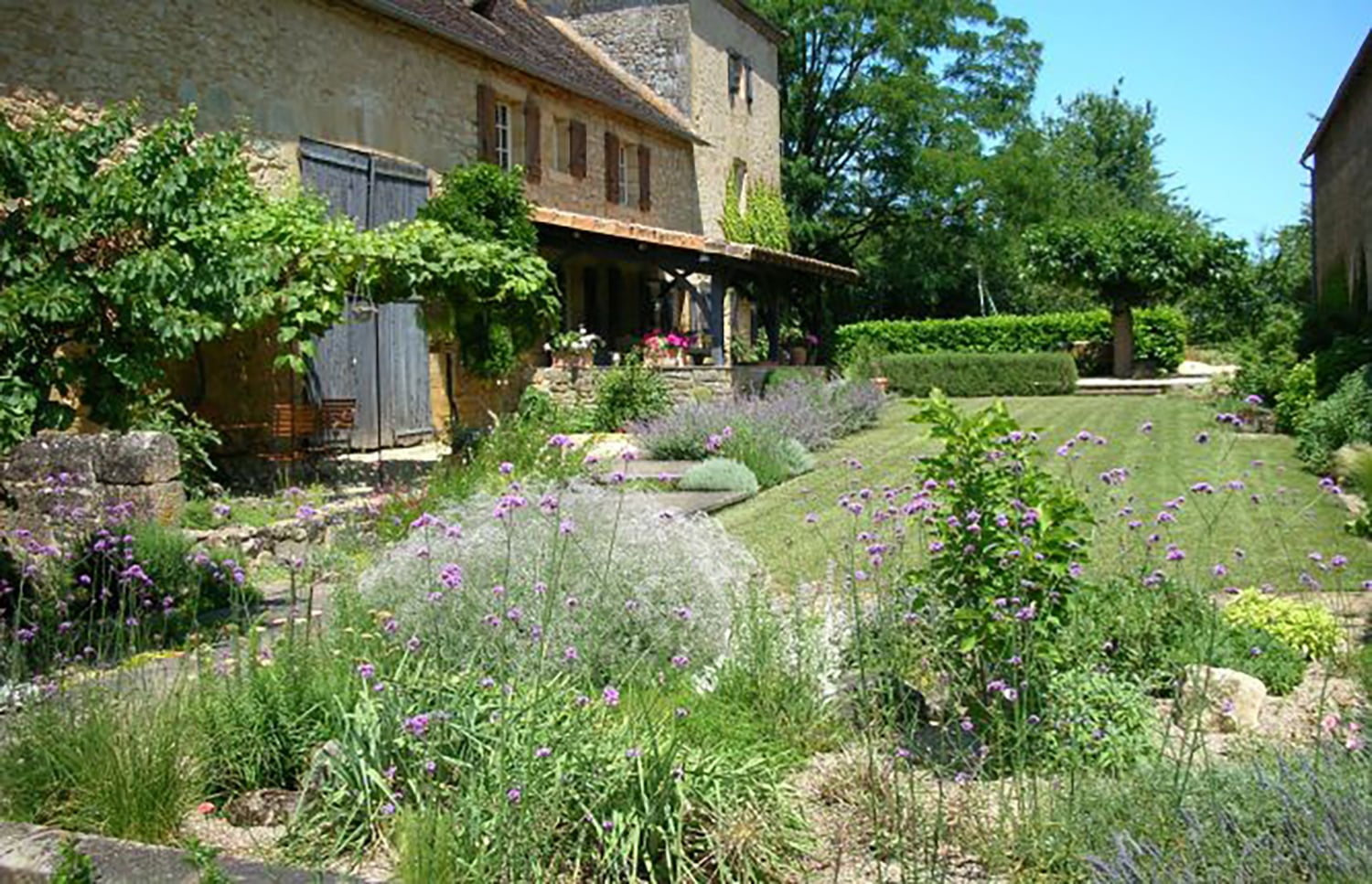 Garden