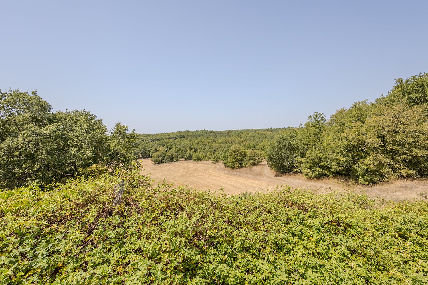 Countryside view