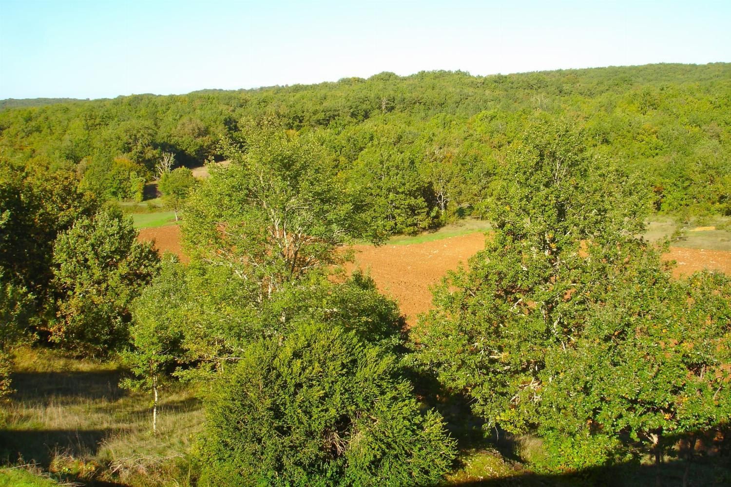 View in Dordogne