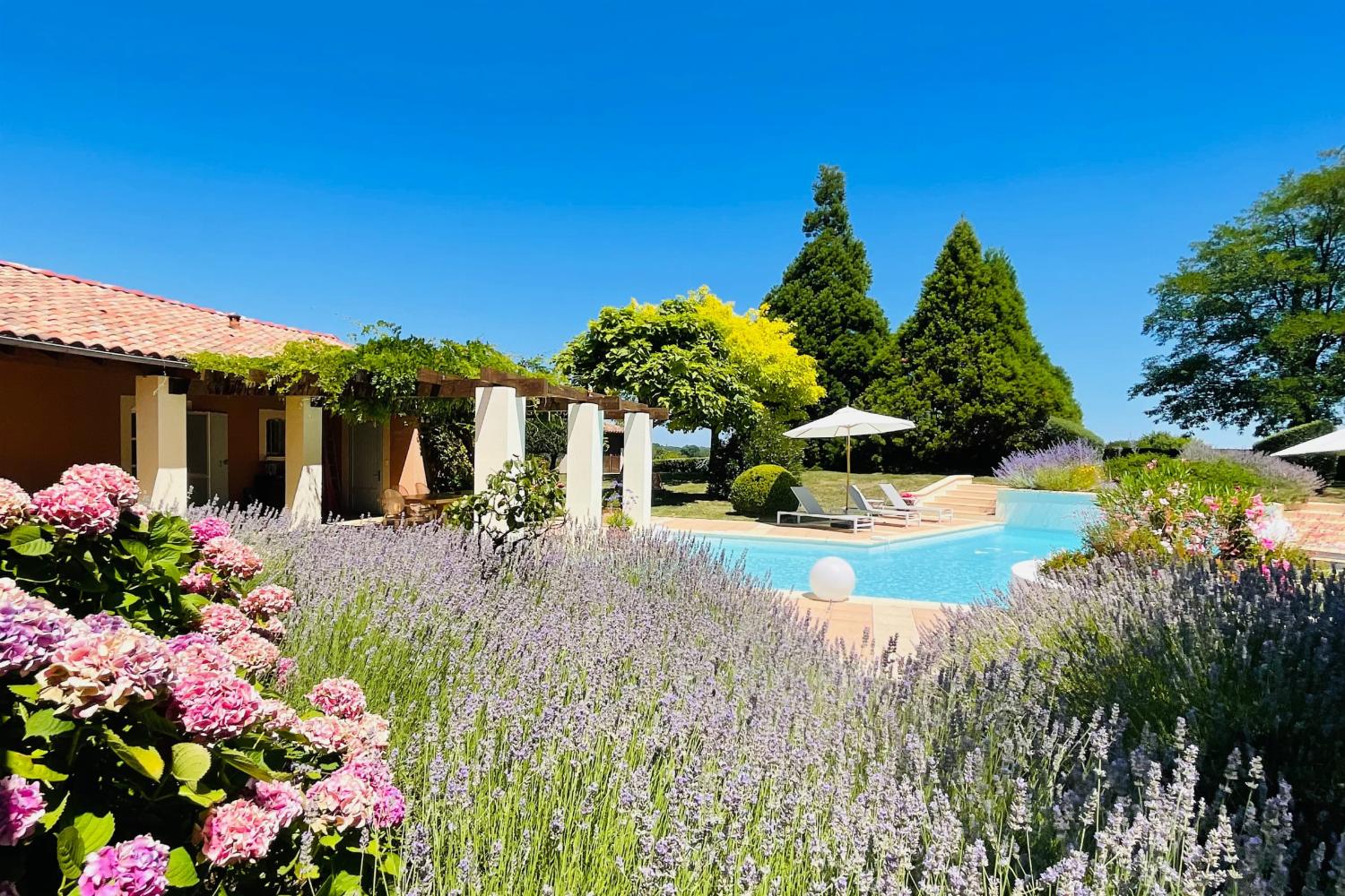 Garden in France