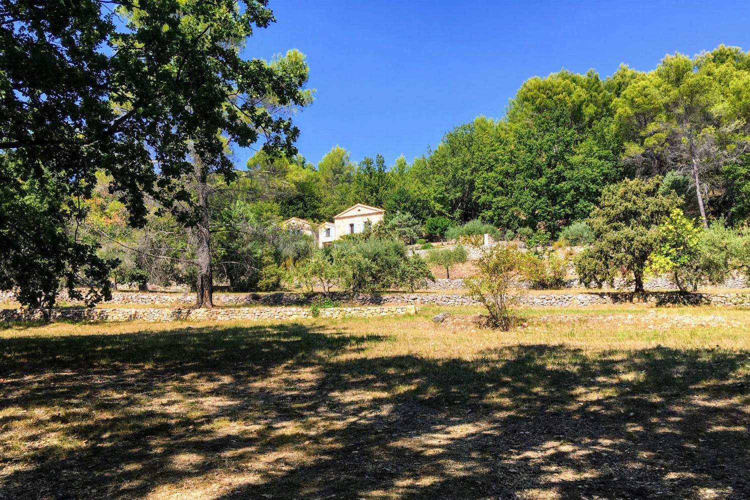 Garden in France