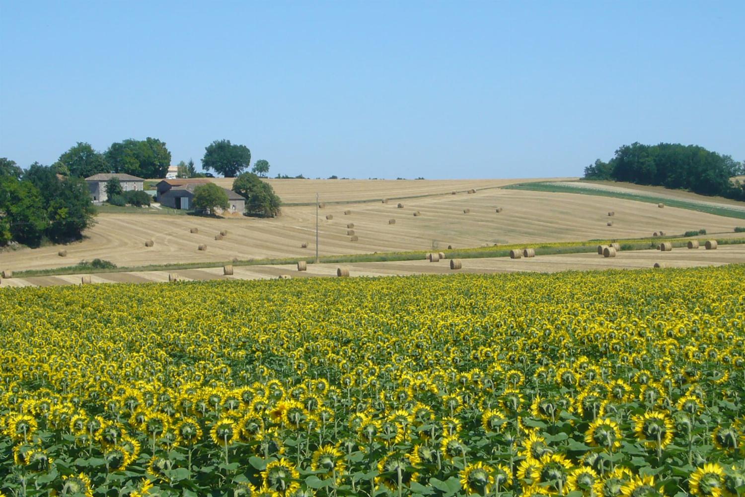 View in Tarn-en-Garonne