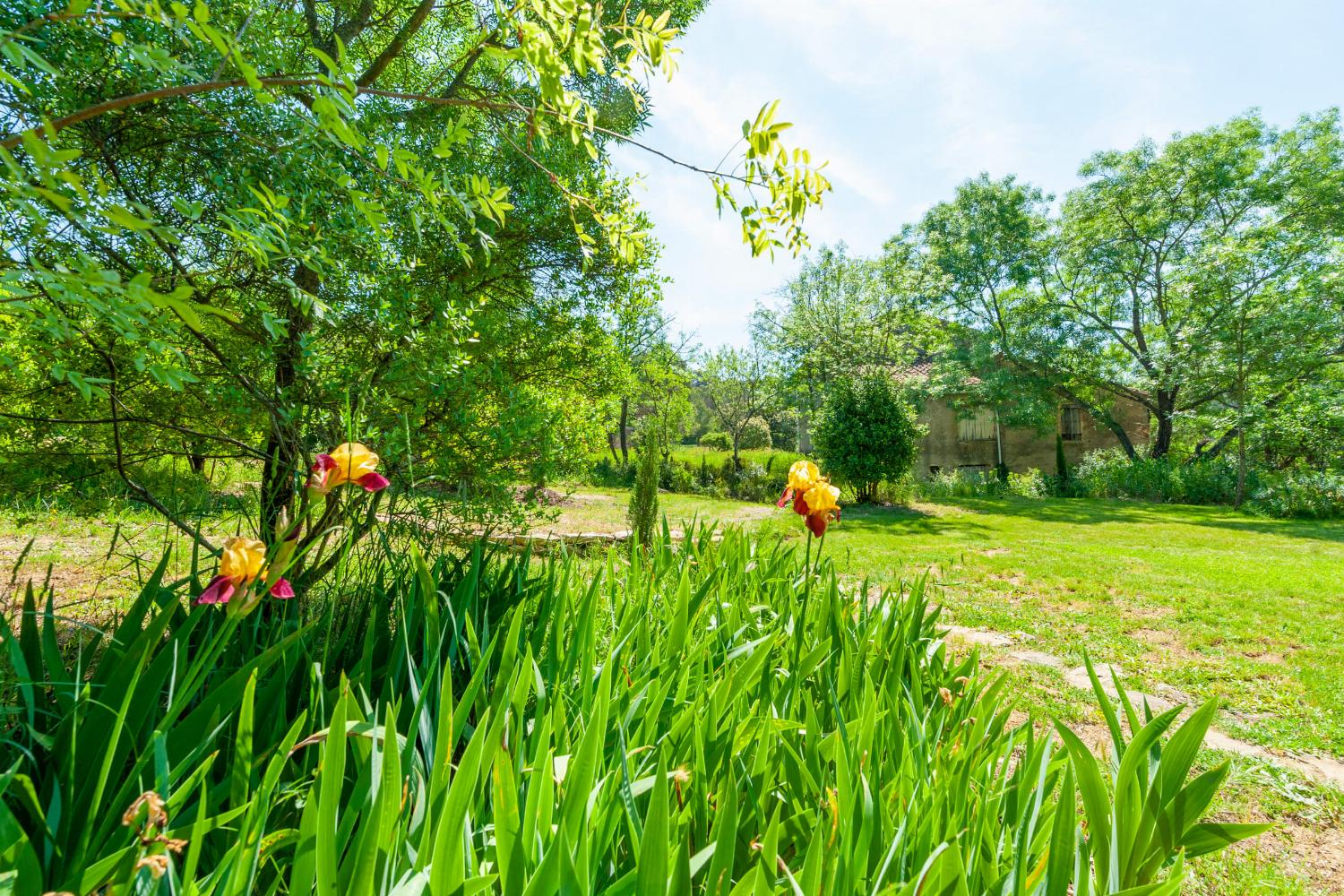 Garden in France