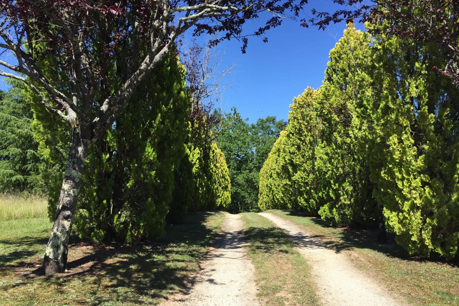 Driveway
