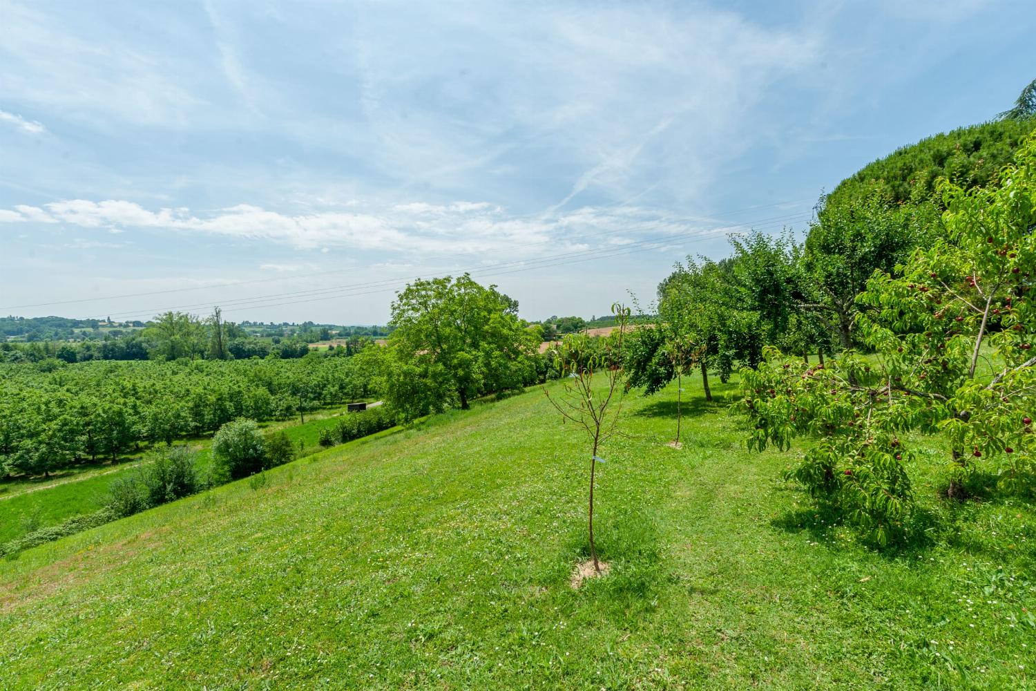Garden | Rental home in Lot-et-Garonne