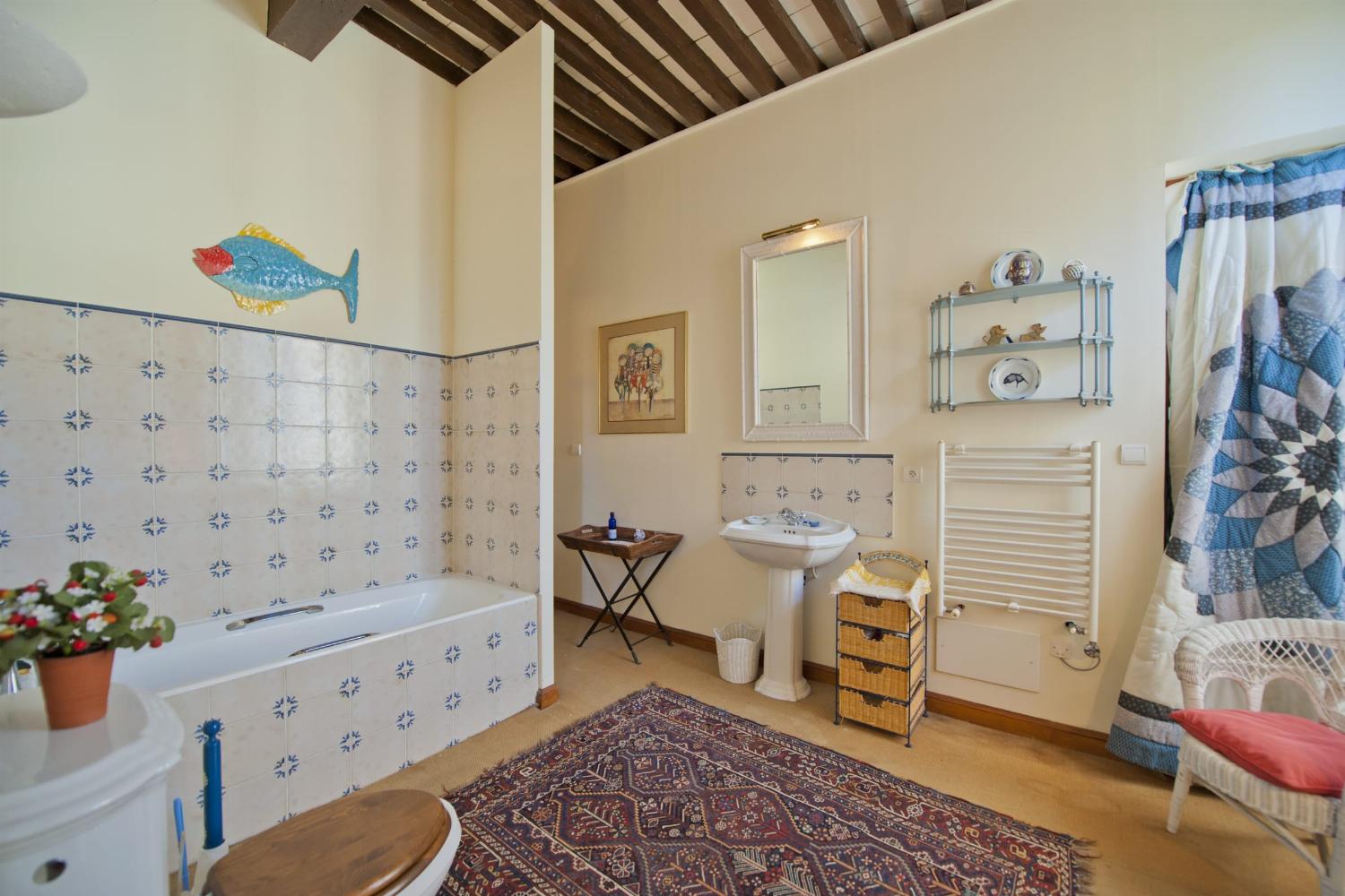 Bathroom | Holiday château in Ariège
