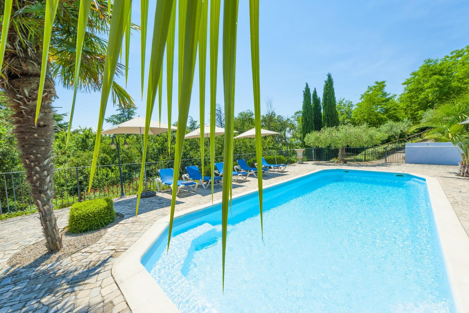 Private pool and terrace