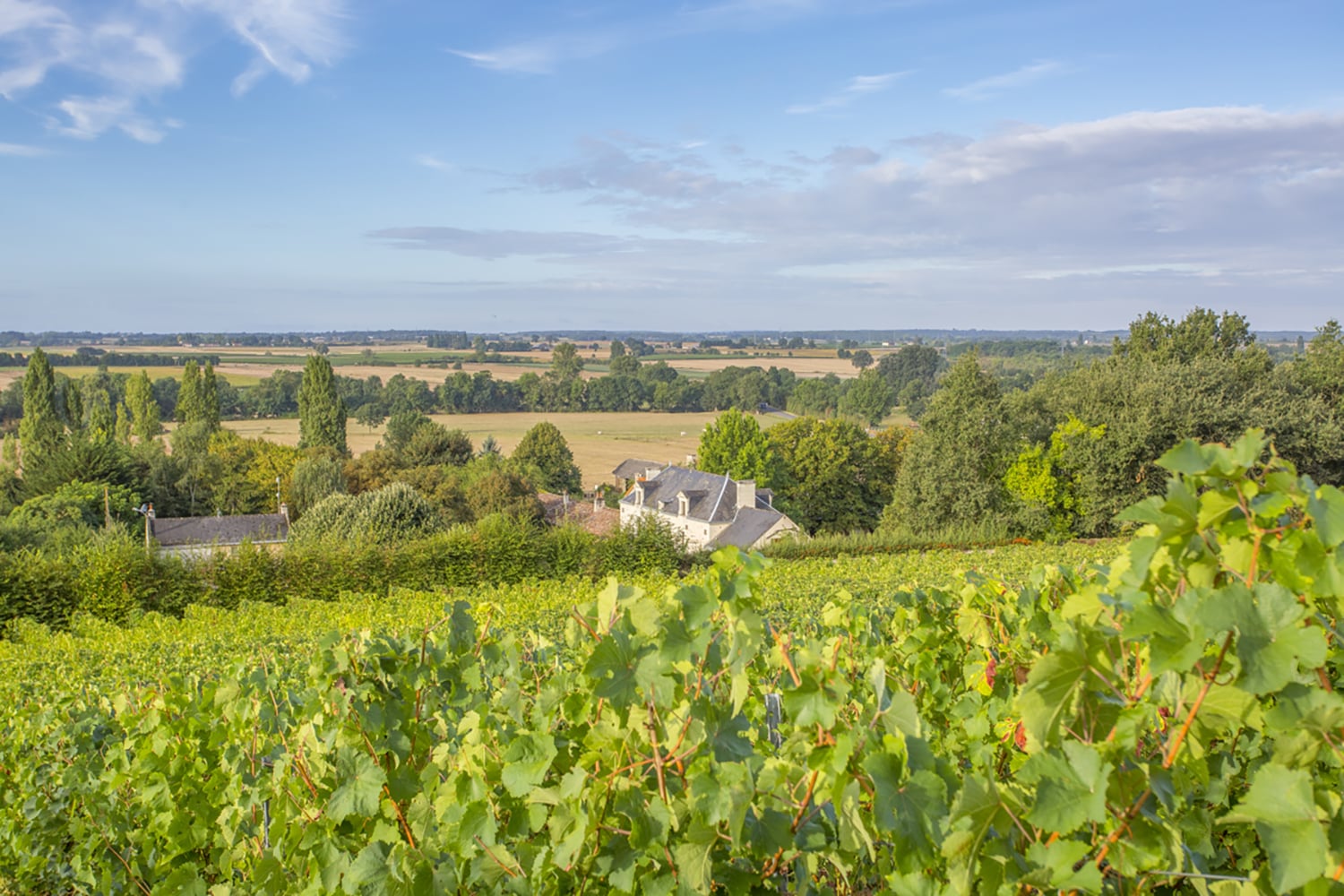 Holiday home in Pays de la Loire Holiday home in Pays de la Loire