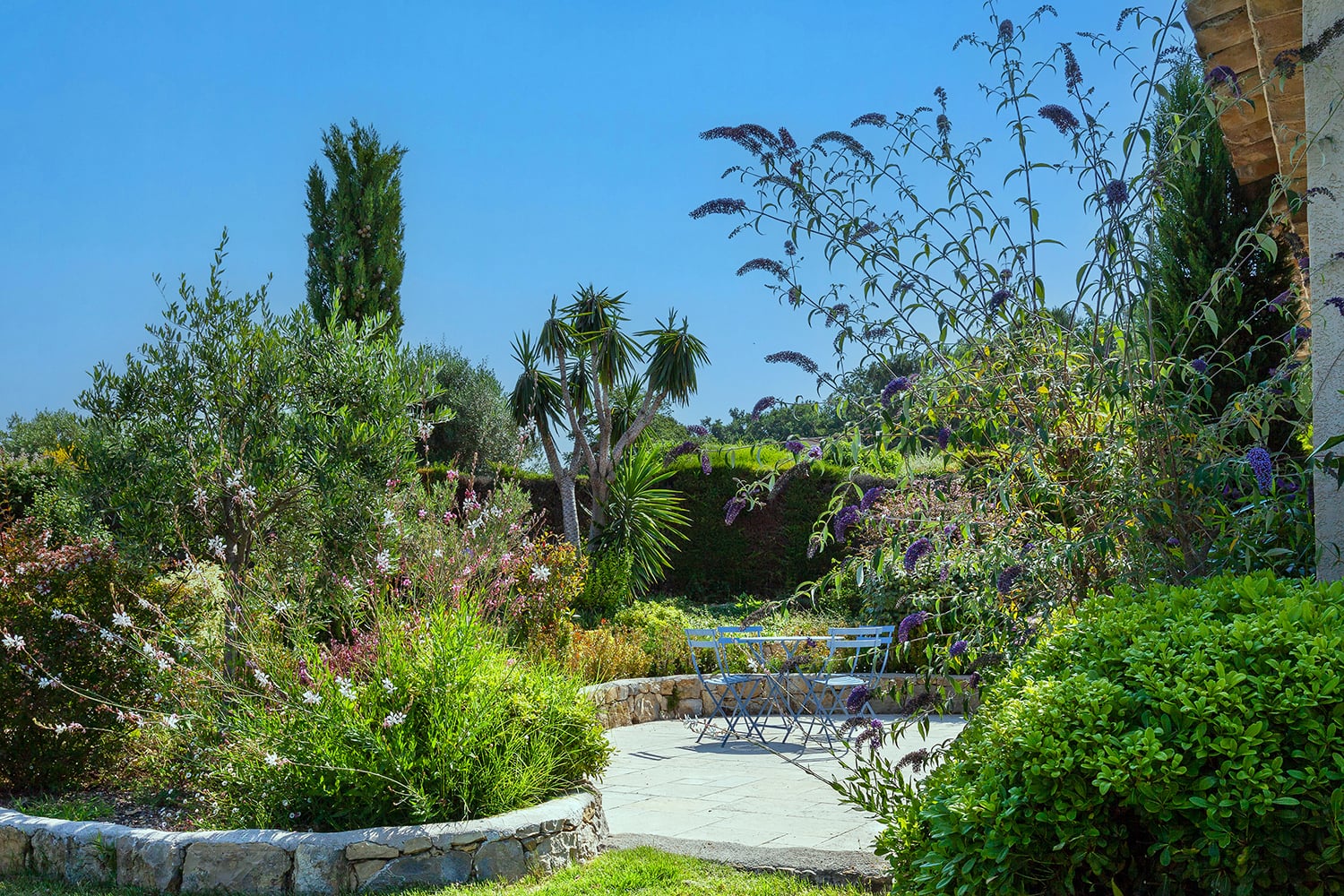 Garden in France