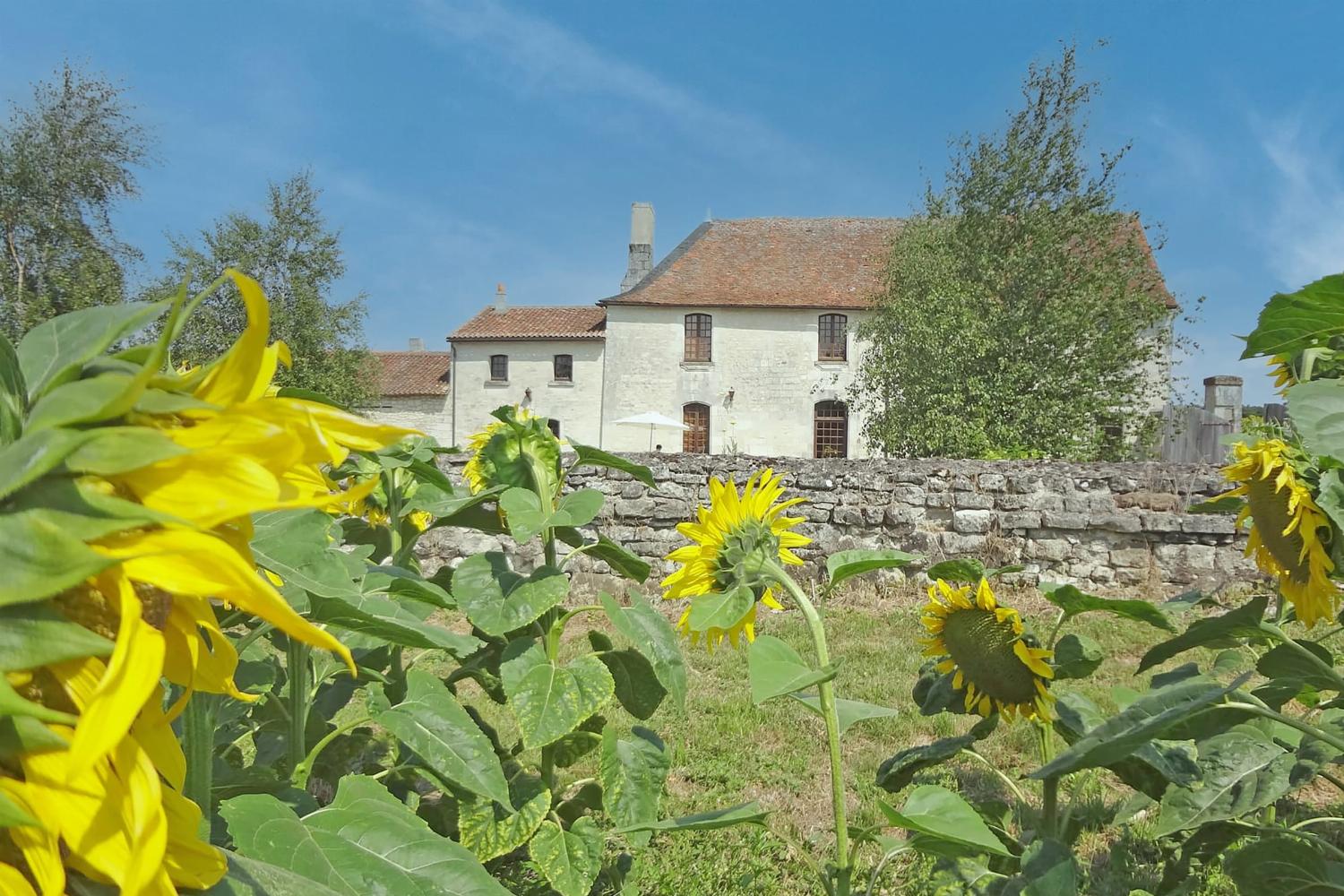 Holiday château in Vienne