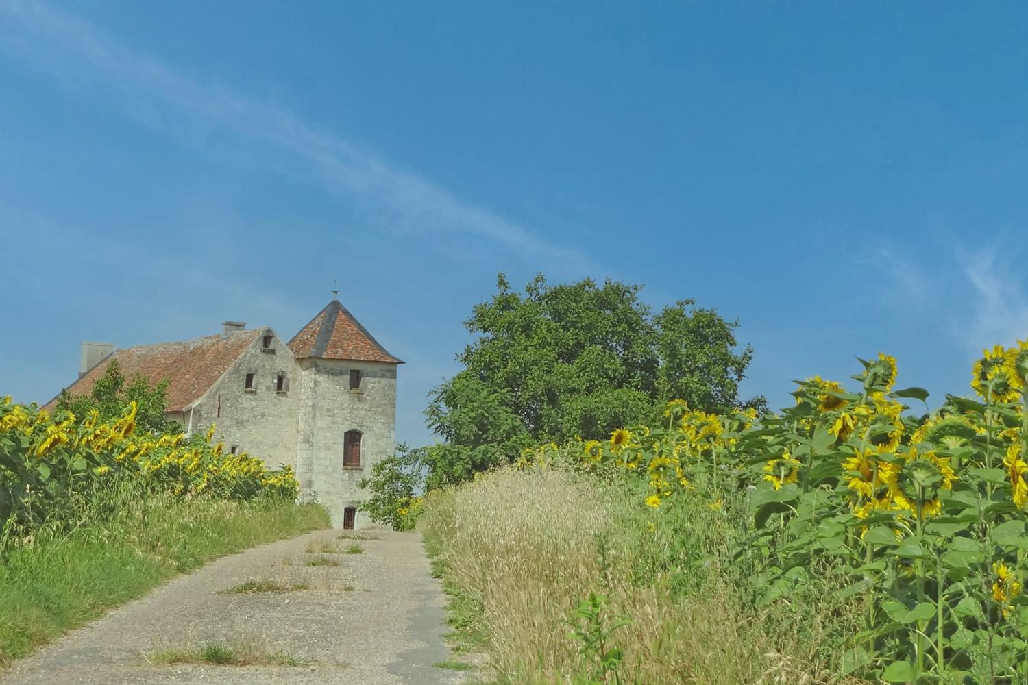 Holiday château in Vienne